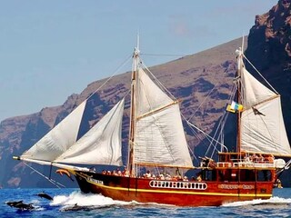 Apartment Los Gigantes Umgebung 39