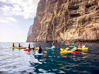 Apartamento Los Gigantes Entorno 37