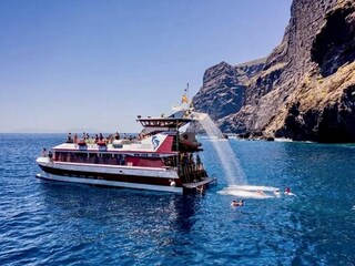 Appartement Los Gigantes Environnement 31