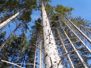 Appartamento per vacanze Turnau Ambiente 19