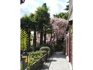 Terrasse vor Wohnung Brè