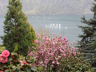 Blick von Wohnung Brè auf den See