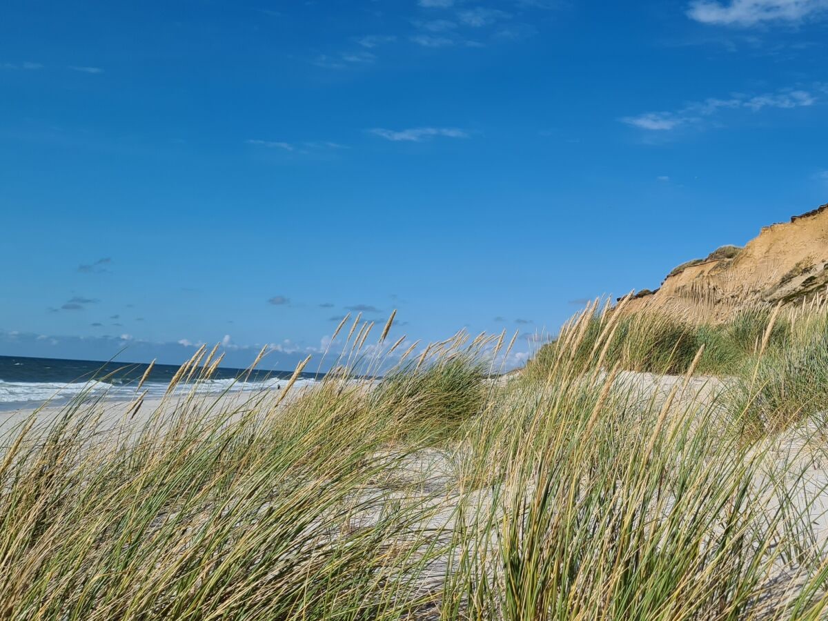 Ferienwohnung Westerland Umgebung 14