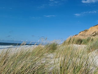 Ferienwohnung Westerland Umgebung 16