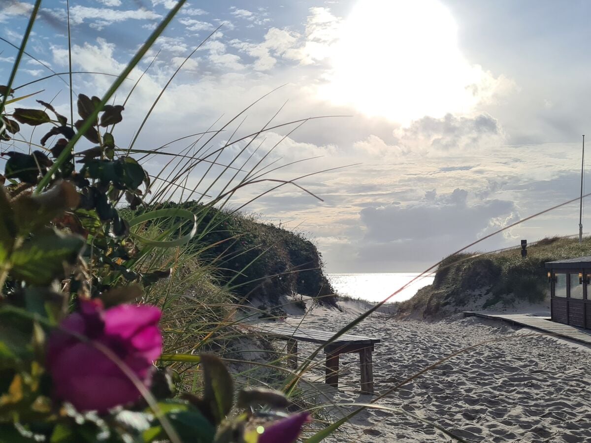 Ferienwohnung Westerland Umgebung 15