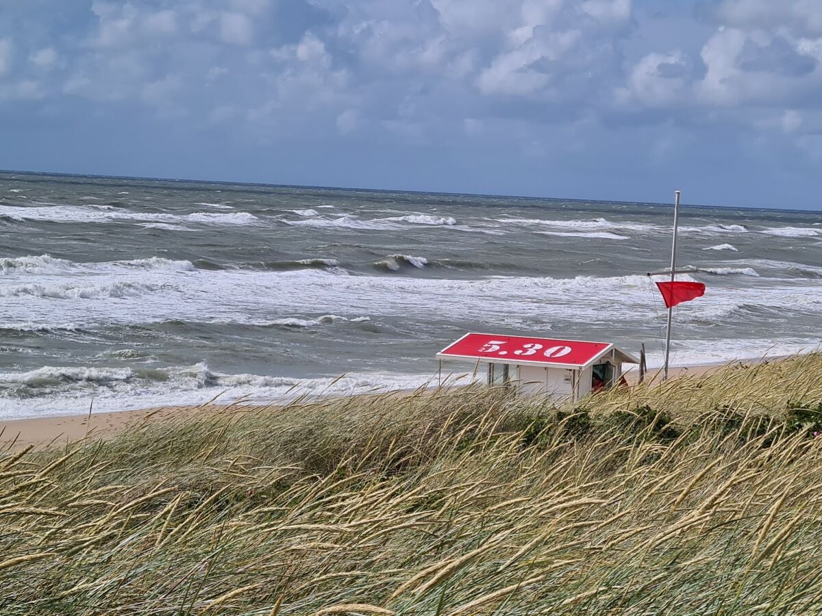 Ferienwohnung Westerland Umgebung 12