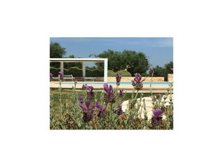 Maison de vacances Cisternino Enregistrement extérieur 1