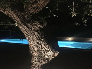 Casa per le vacanze Cisternino Registrazione all'aperto 3