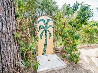 Ferienhaus Alcudia Außenaufnahme 15