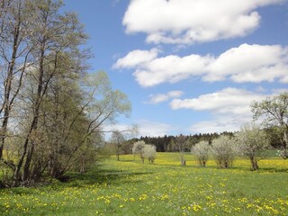 Casa per le vacanze Loßburg Ambiente 17