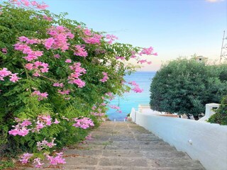 Vakantiehuis Alcudia Buitenaudio-opname 4