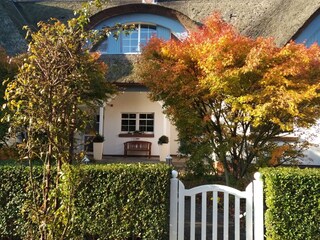 Hauseingang im Herbst