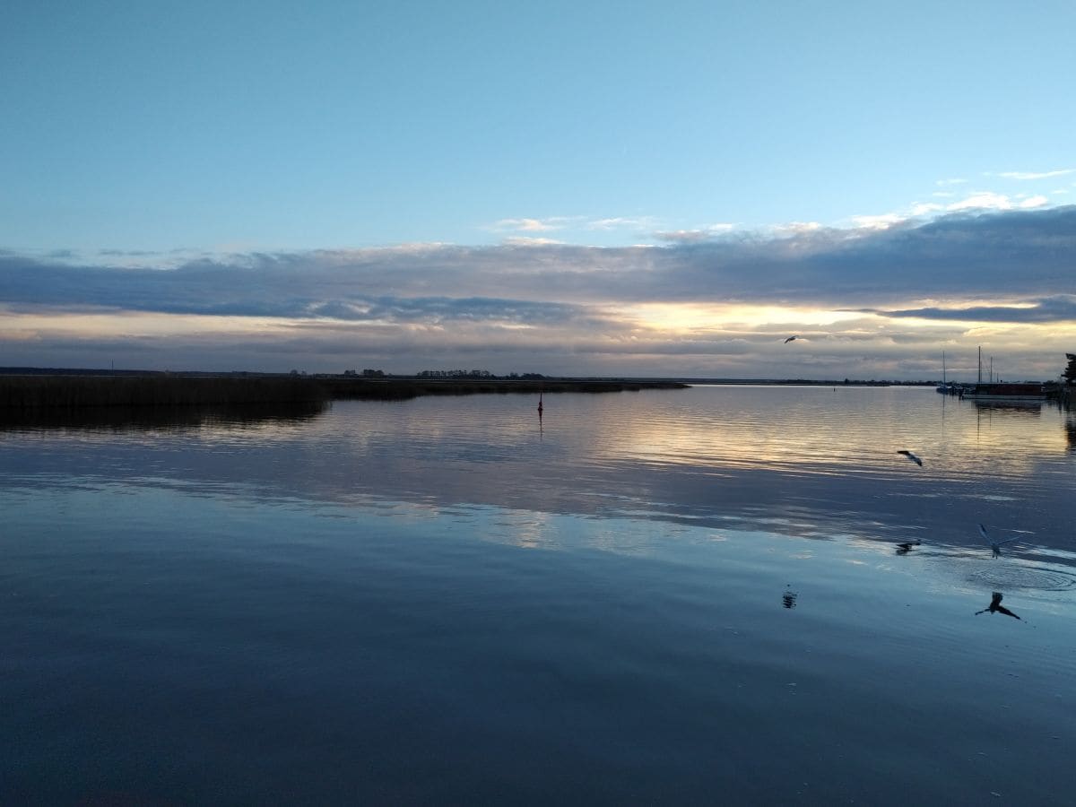 Die Boddenlandschaft gegen Abend