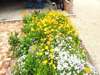 Appartement Sorquainville  29