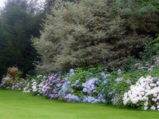 Casa vacanze Varengeville-sur-Mer Registrazione all'aperto 6