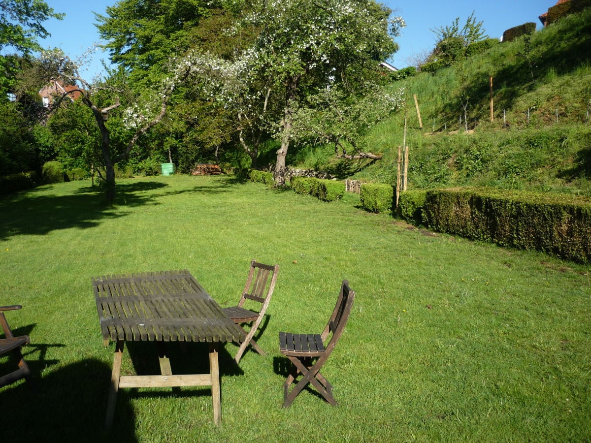 Blick in den Garten