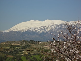 Psiloritis Berg