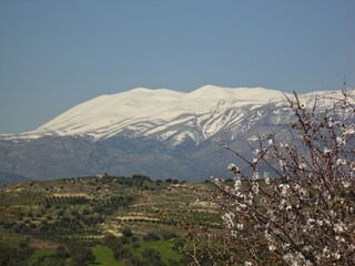 View to Psiloritis mountain