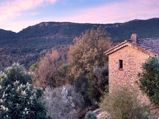Apartment Bagnols-en-Forêt  2