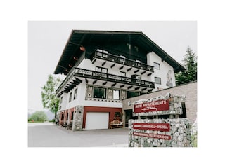 Vakantieappartement Ramsau am Dachstein Omgeving 37