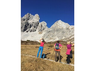 Appartamento per vacanze Ramsau am Dachstein Ambiente 35