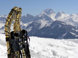 Appartamento per vacanze Damüls Ambiente 28