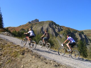 Appartamento per vacanze Damüls Ambiente 24