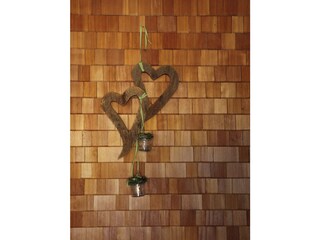 Appartamento per vacanze Damüls Caratteristiche 15