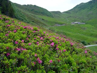 Appartamento per vacanze Damüls Ambiente 21