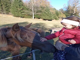 Apartamento Schwaz  3