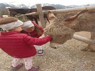 Appartamento Schwaz  26