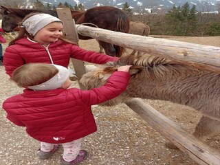 Appartamento Schwaz  22