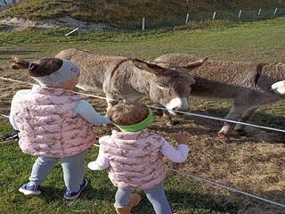 Apartamento Schwaz  33