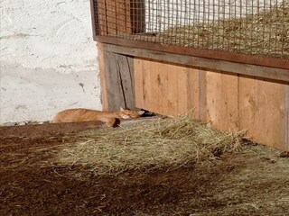 Appartamento Schwaz  40