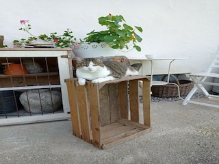 Apartment Schwaz  48