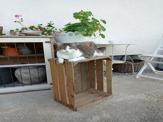 Appartement Schwaz  12