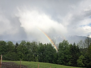 Apartamento Schwaz  3