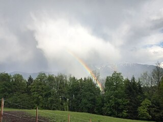 Appartement Schwaz  19