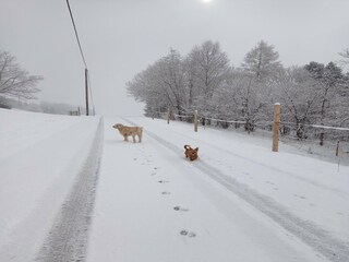 Apartamento Schwaz  46