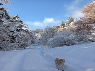 Appartement Schwaz  19