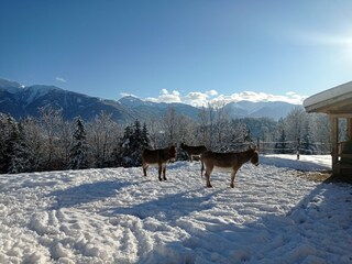 Appartamento Schwaz  15