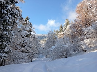 Appartement Schwaz  20