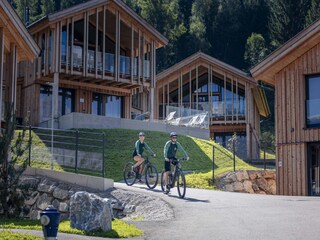 Ferienpark Haus im Ennstal Umgebung 33