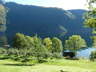 Ausblick am Fjord von dem garten