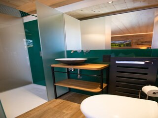Vakantiepark Haus im Ennstal Kenmerken 15