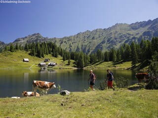Parco vacanze Schladming Ambiente 23
