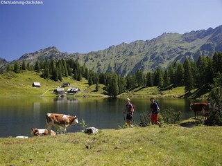 Holiday park Schladming Environment 23