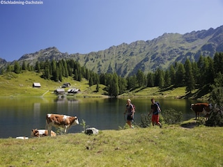Parc de vacances Schladming Environnement 27
