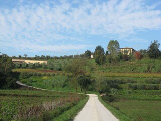 Appartamento per vacanze Ponsacco Ambiente 22