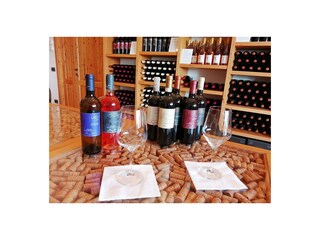 Appartamento per vacanze Ponsacco Ambiente 27